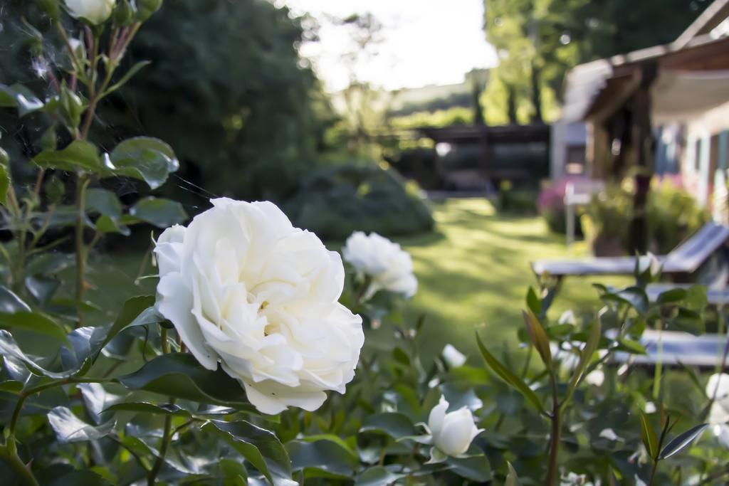 B&B I Fiori Della Cava Pesaro Buitenkant foto