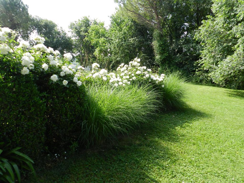 B&B I Fiori Della Cava Pesaro Buitenkant foto